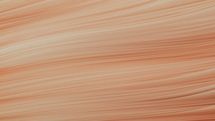 Meet Kayla Brown: The Rising Star of the Fashion World