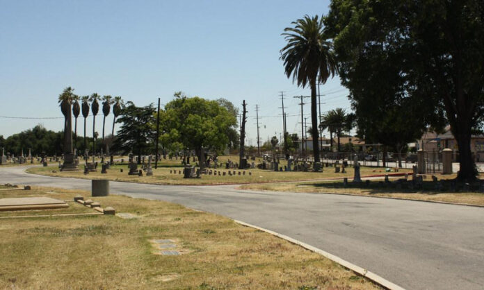 The Inspiring Story of Rocky Dennis