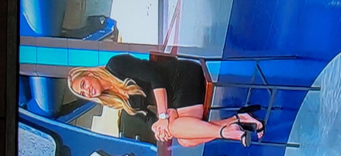 Meredith Marakovits: Partner, Sports Reporter, and More
