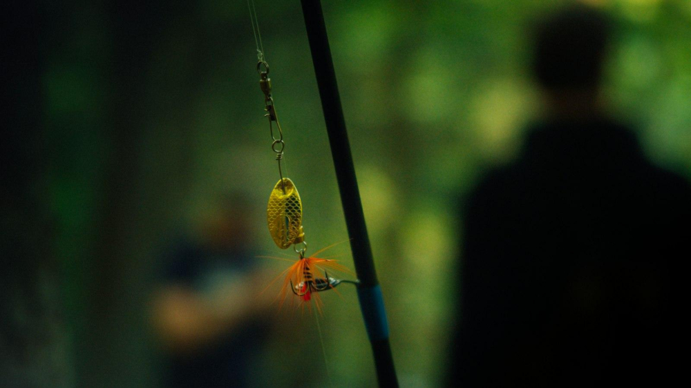 The Nanny Cast: Where Are They Now - Animascorp