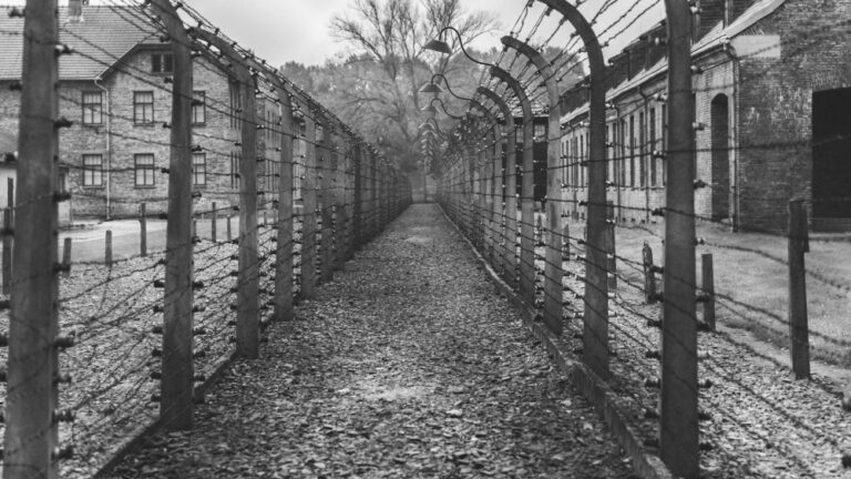 Discovering the Living Relatives of Hitler: A Fascinating Look into ...