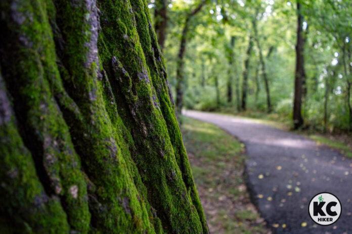 Meet Gary and Larry Hall: The Dynamic Duo Making Waves