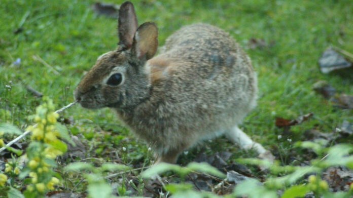 The Tragic Loss of Seath Jackson: A Tribute