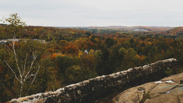 discover-the-huntsville-subgroup-a-hidden-gem-in-alabama.jpg Discover the Huntsville Subgroup: A Hidden Gem in Alabama
