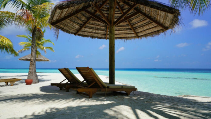 discover-the-enchanting-maldives-sea-of-stars.jpg Discover the Enchanting Maldives Sea of Stars