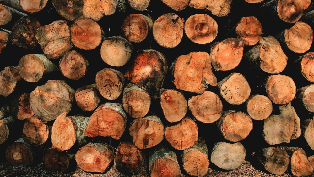 Why Were Chainsaws Invented for Childbirth? Explained Animascorp