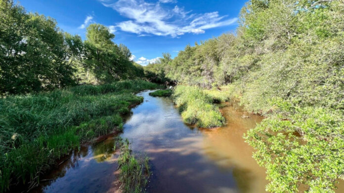 Discover the Latest Trends with Claire Miller TikTok