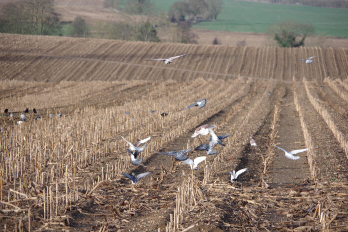 10 Unbelievably Strange and Bizarre Pictures You Won’t Believe Exist