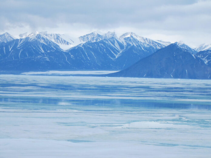 exploring-the-arctic-with-ejnar-mikkelsen-a-pioneers-legacy.jpg Exploring the Arctic with Ejnar Mikkelsen: A Pioneer’s Legacy