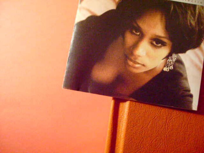 Discover the Stunning Bird That Looks Like a Dragon