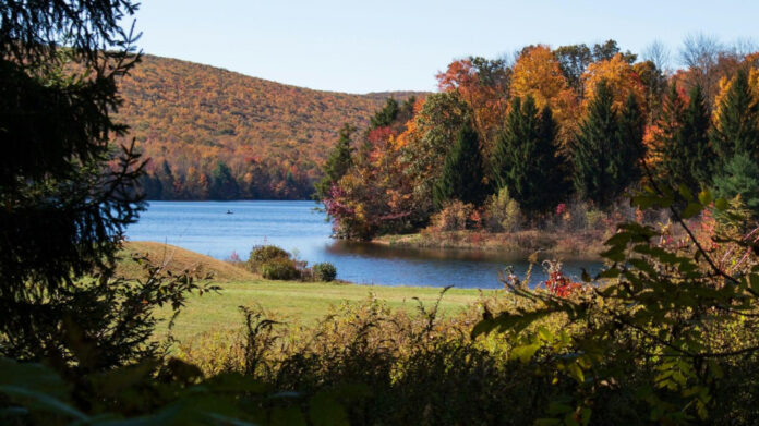 Iconic Photos of Jim Morrison: A Look at The Doors’ Legendary Frontman