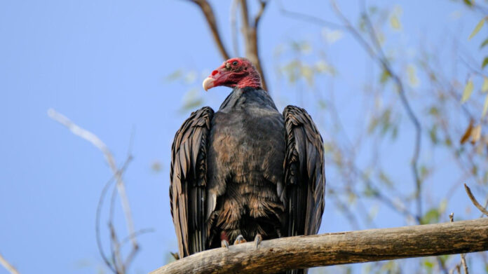 Exploring the Controversy Surrounding Jayna Murray and Lululemon