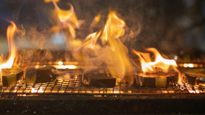 The Life of Charla Nash Before the Attack: A Comprehensive Look