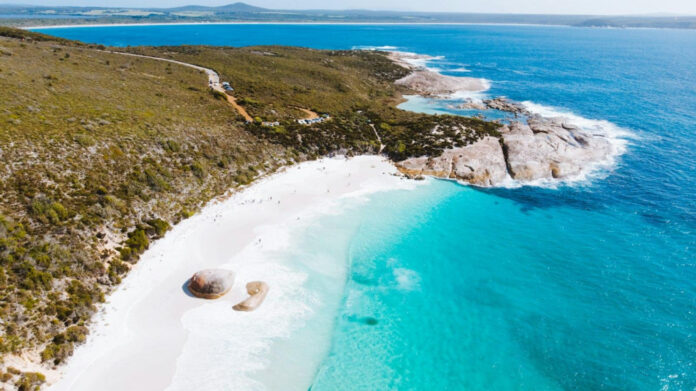 Exploring the Relationship Between Bob Dylan and Edie Sedgwick