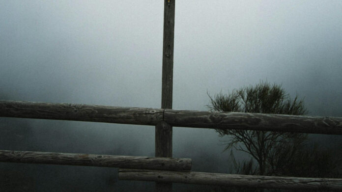 Pompeii Mummies: A Fascinating Look at Ancient Preservation