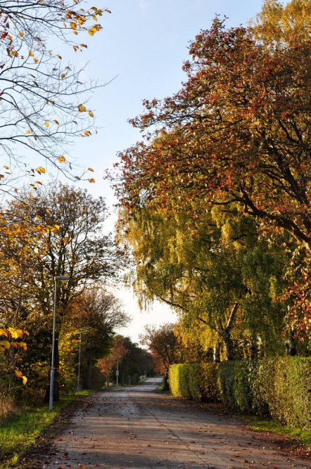 is-rebecca-herbst-sick-exploring-her-health.jpg Is Rebecca Herbst Sick? Exploring Her Health