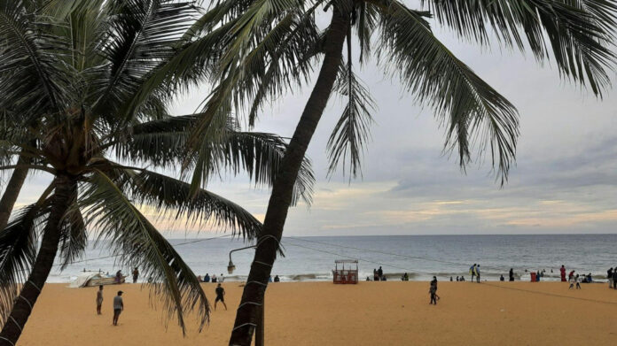 Lavinia Smerconish Net Worth: A Biographical Overview