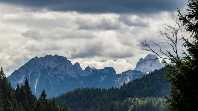 Beatrice Grannò Height: Facts about the Italian Actress