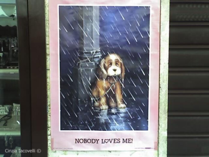 Nobody Loves Me Like You Lyrics: A Romantic Ode