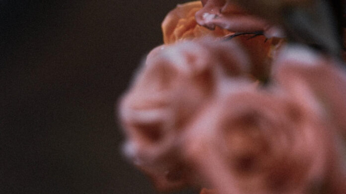 unveiling-the-romantic-lyrics-of-now-ive-had-the-time-of-my-life.jpg Unveiling the Romantic Lyrics of ‘Now I’ve Had the Time of My Life