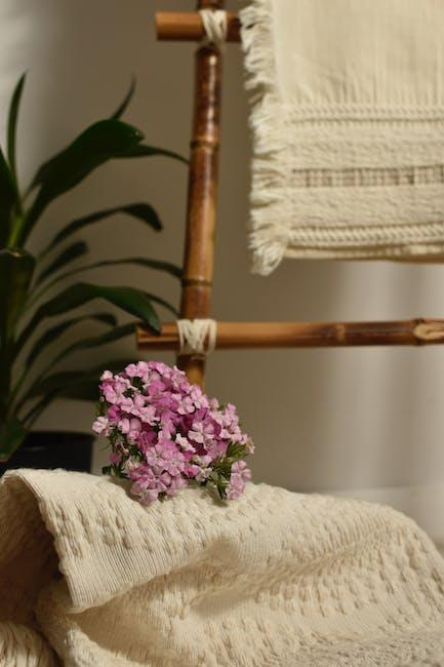 Lilly Jane Bennard Obituary: Remembering a Life Well-Lived - Animascorp