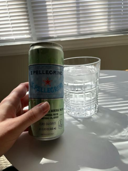 Stella Nestle Fowler Motel A Biographical Overview Animascorp