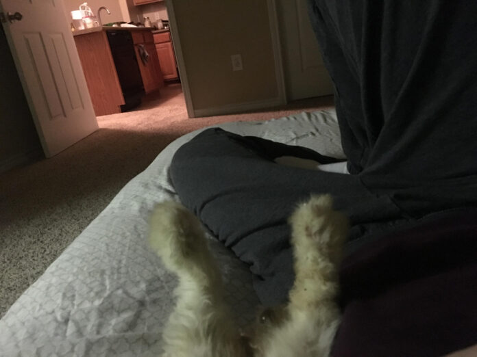 Exploring Love Through Sixpence None the Richer Lyrics