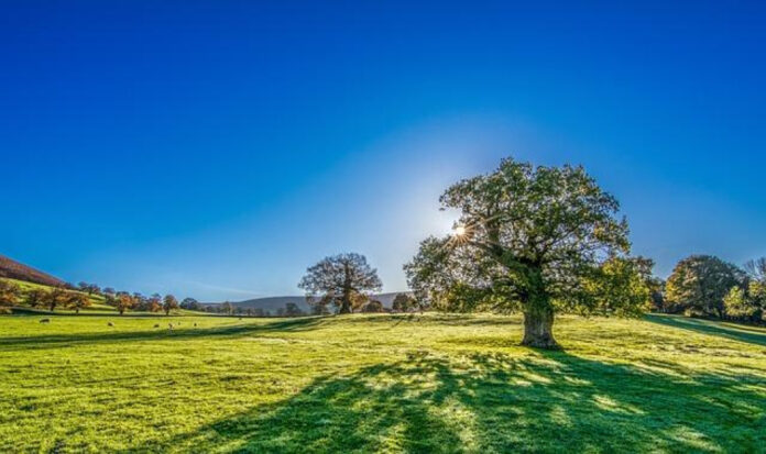 You Are My Sunshine Lyrics: Embracing Love in English