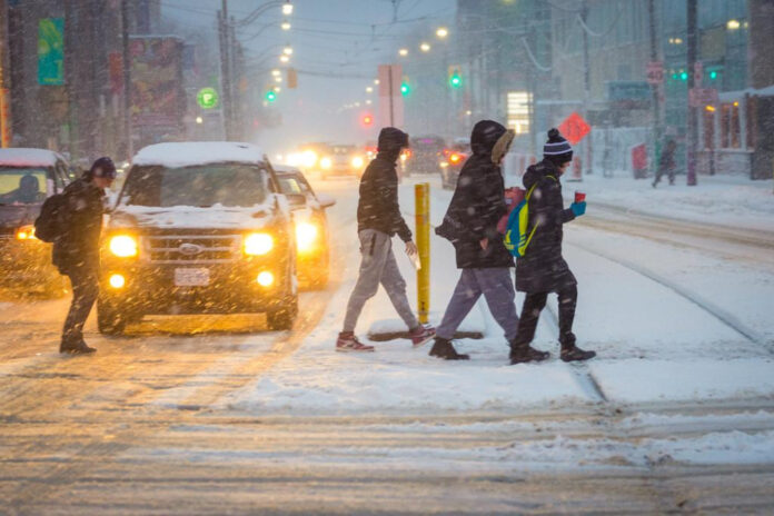 Who is Ashley St. Clair’s Husband? – Biography