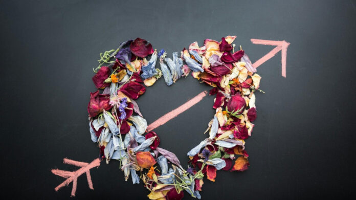 Embracing Eternal Love: Always Love Lyrics