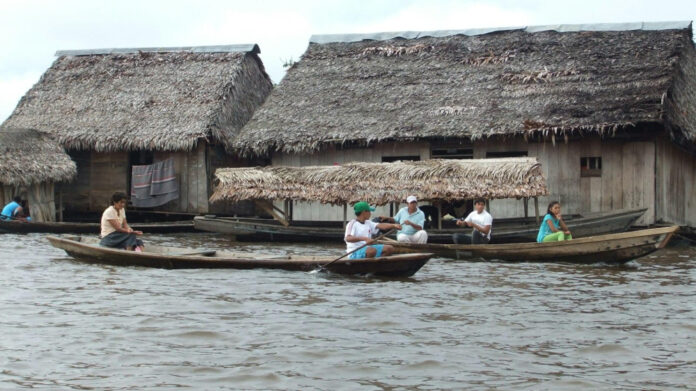 Find the Perfect Amazon Formal Dresses for Your Next Business Event