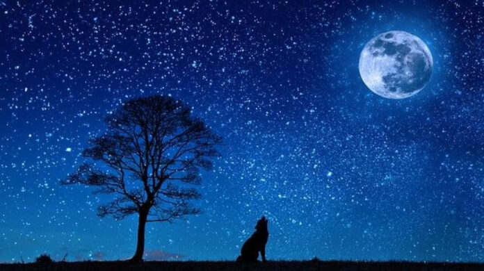 whispers-of-the-starry-skies-unveiling-the-enchanting-beauty-of-lost-lyrics.jpg Whispers of the Starry Skies: Unveiling the Enchanting Beauty of Lost Lyrics