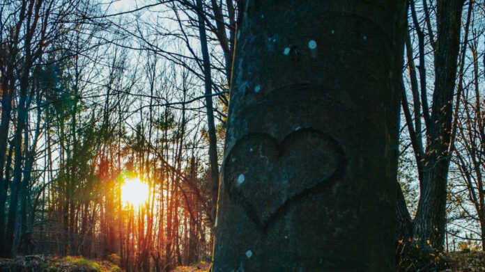 Embrace Eternal Love: ‘Gonna Find My Baby, Gonna Hold Her Tight’ Lyrics