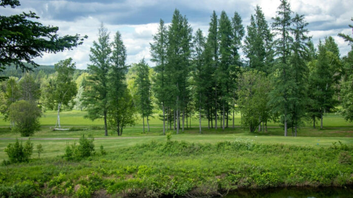 Enchanting Lyrics of Adele’s ‘I Will Rescue You’: A Romantic Serenade