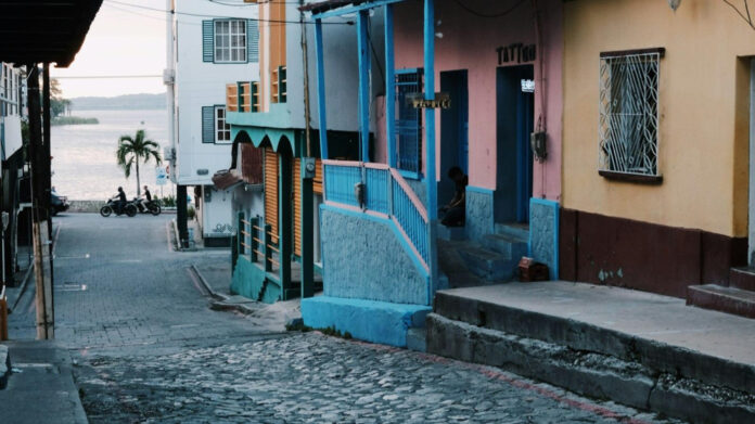 Nelly Josefina Flores: A Prominent Biographical Insight