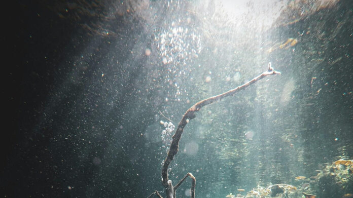 Dance Freely to Lyrical Melodies: Unveiling ‘Dance Dance Wherever You May Be’ Lyrics