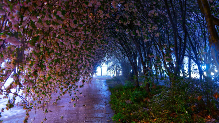 Enchanting Lyrics: Inspire Your Romantic Wedding with the ‘What a Beautiful Wedding’ Song