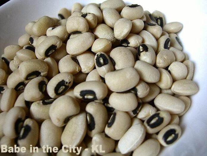 Captivating Black Eyed Peas Lyrics: Can’t Get Enough of Love