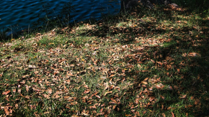 Unforgettable Desires: Dive into the Enchanting ‘Can’t Forget About You’ Lyrics