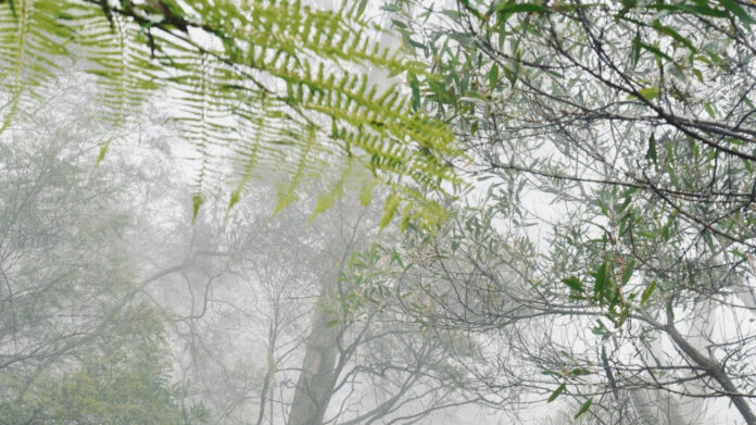 Enchanting Desires: Unveiling the Lyrical Beauty of ‘It’s Only Sex’ Lyrics