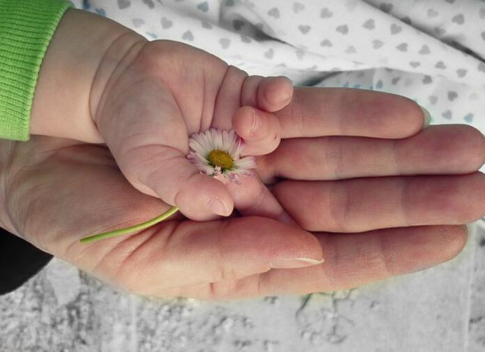 Embrace Eternal Love: Discover ‘Love One Another Right Now’ Lyrics