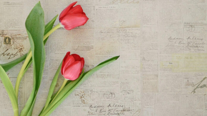 Unforgettable Melodies: Exploring the Essence of Romantic Country Love Songs