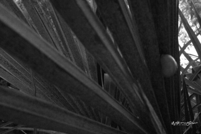 Whisking Away the Groom: Memorable and Romantic Bachelor Party Ideas