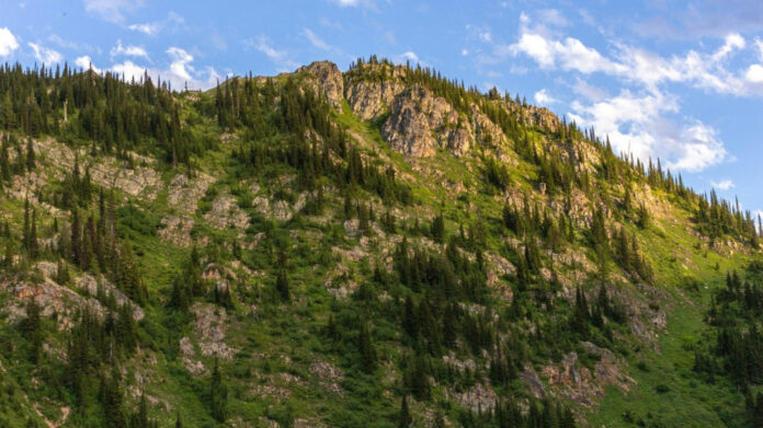 exploring-the-potential-of-greater-idaho-a-comprehensive-study-on-regional-expansion.jpg Exploring the Potential of ‘Greater Idaho’: A Comprehensive Study on Regional Expansion