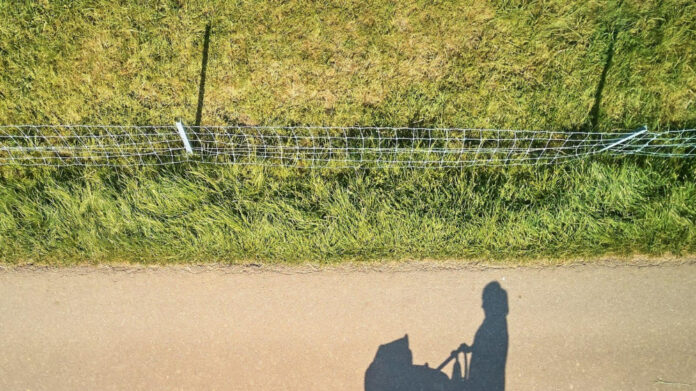 A Heartfelt Ode: A Mother’s Song to Her Son | Captivating Melodies