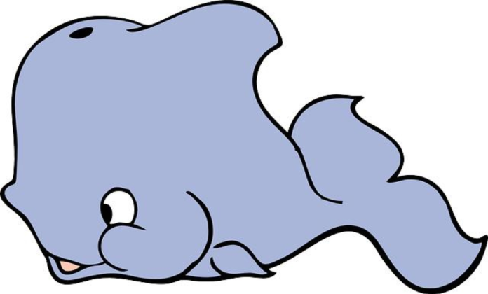 Marvellous Baby Whale: A Fascinating Insight into their Enigmatic World