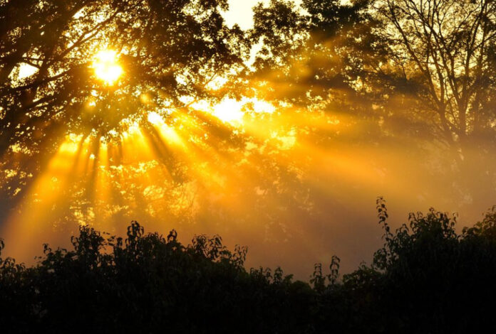September: A Month of Surprises and Sunshine!