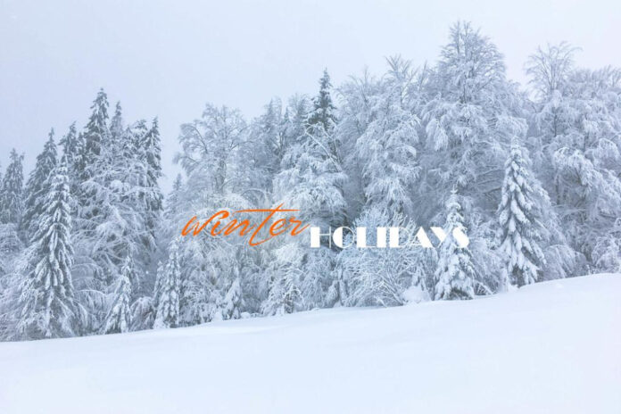 Joyful Wanderlust: Winter Holidays 2022 Across the Globe!