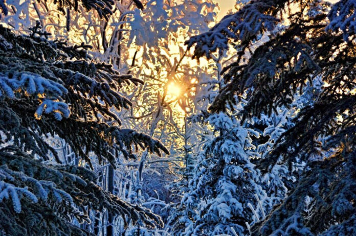 Sparkle Through January: Fun-filled Celebrations!