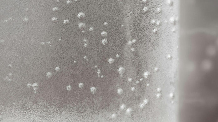 Exploring the Enigmatic Ava Grey: Unveiling the Mysteries